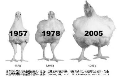 20181103135546 28圈-28圈平台官方网站-相信品牌的力量